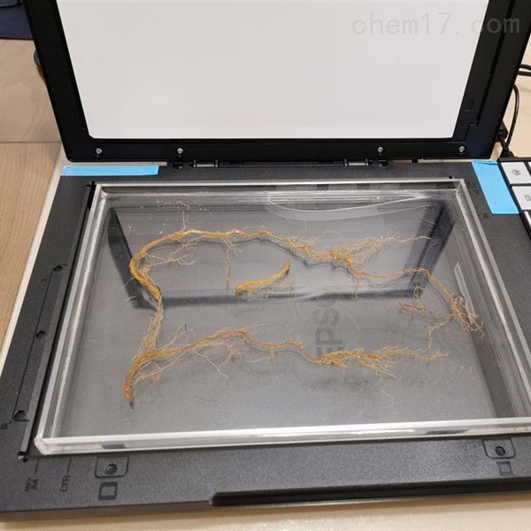 植物根系分析仪